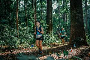 BIB: 
                            <button type="button" onclick="openModal(26130593)" class="btn btn-primary btn-sm float-right btn-popup" data-toggle="modal" data-target=".modal-high-quality">
                        <i class="fas fa-shopping-cart"></i> Add to Cart
                    </button>
                                            <button type="button" onclick="isThisMe(26130593, true)" class="btn btn-success btn-sm float-right btn-popup btn-isme hidden" data-toggle="tooltip" data-placement="bottom" title="นี่คือรูปของคุณใช่ไหม คลิกที่นี่เพื่อเอาเข้าอัลบั้ม">
                        <i class="fas fa-plus"></i> Add to album
                    </button>
                    <button type="button" onclick="isThisMe(26130593, false)" class="btn btn-warning btn-sm float-right btn-popup btn-isnotme hidden">
                        <i class="fas fa-ban"></i> Remove from album
                    </button>